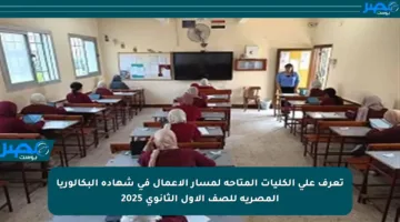 تعرف على الكليات المتاحة لمسار الأعمال في شهادة البكالوريا المصرية للصف الأول الثانوي 2025